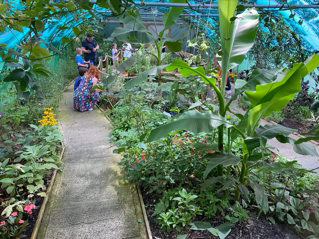 Butterfly Gardens at Middleton Common Farm