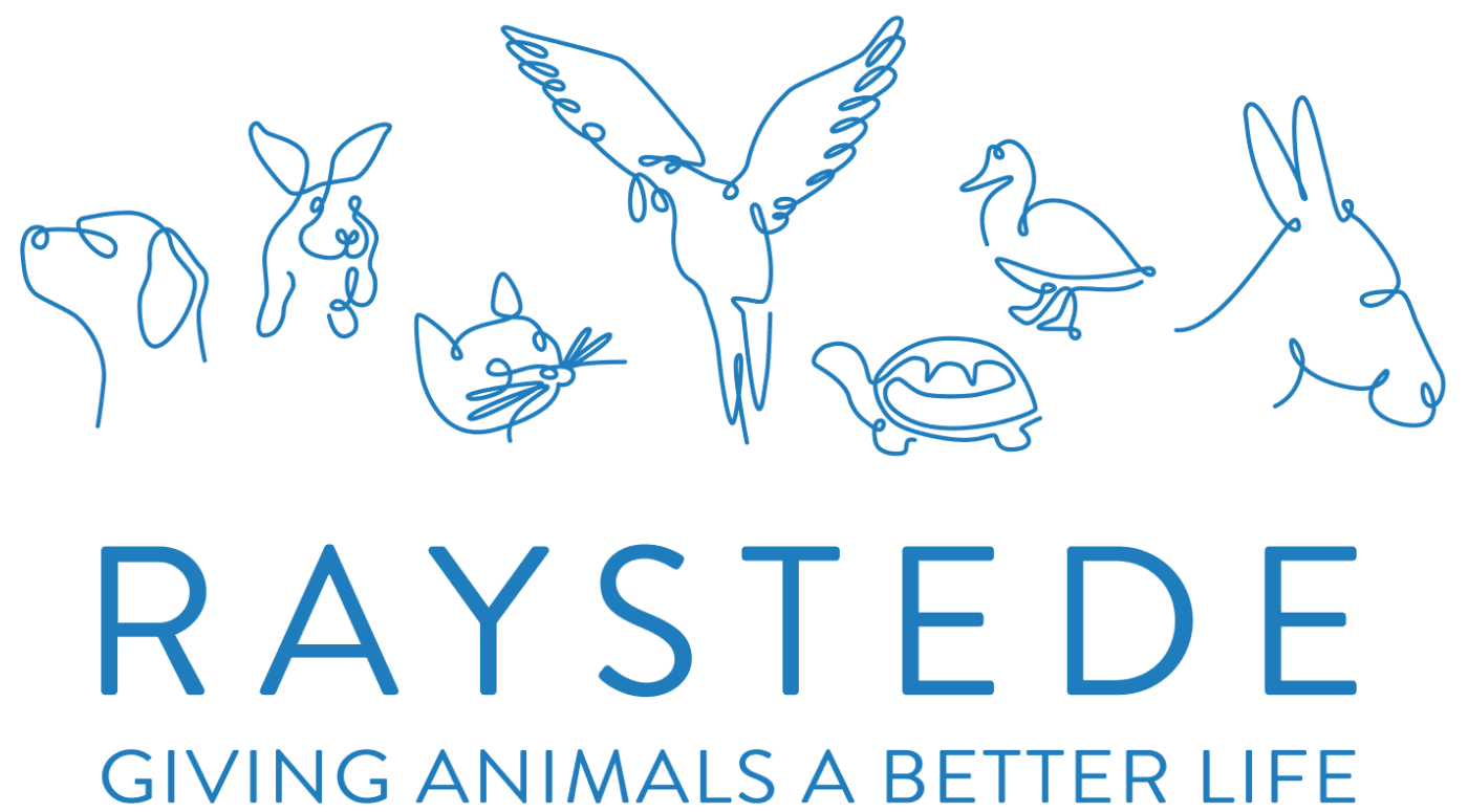 raystede logo regular blue white background