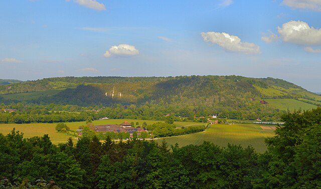 Box Hill and Denbies Vineyard