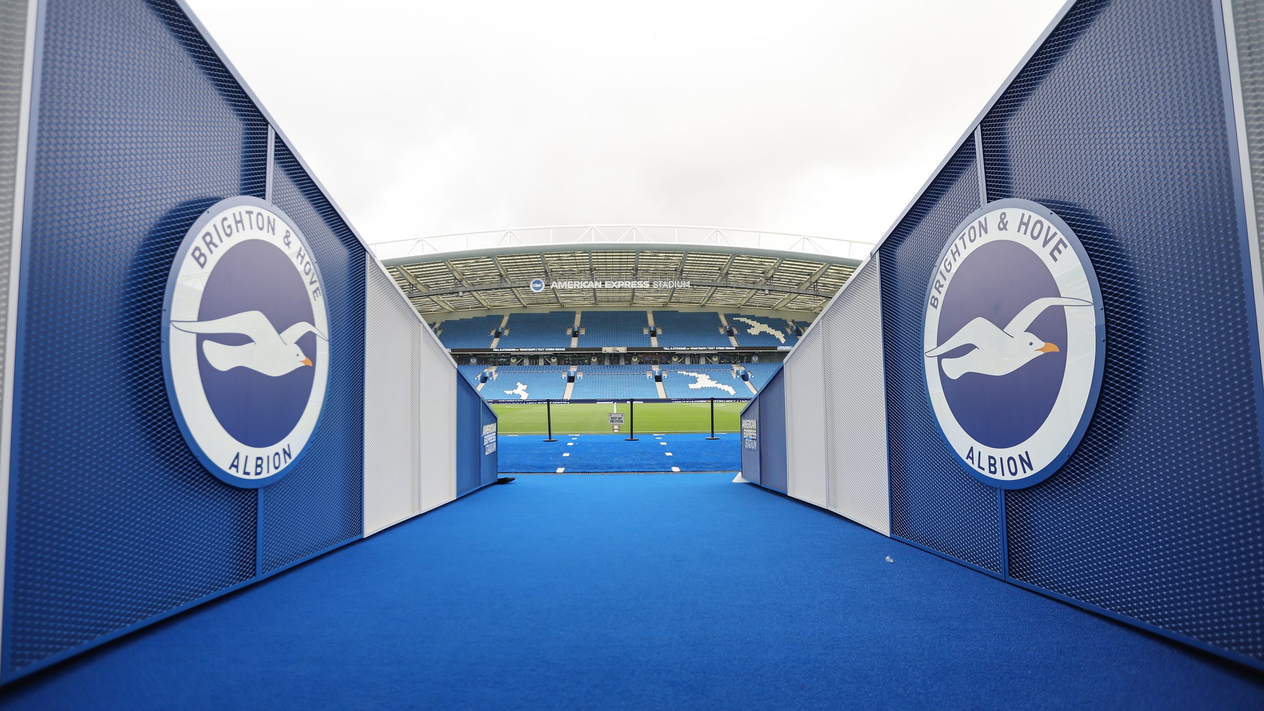 The view the players face at the Amex Stadium