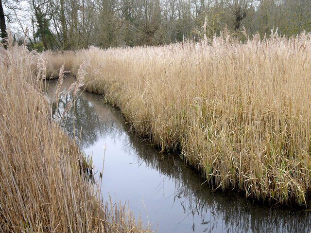 Idyllic Arundel Wetland Centre