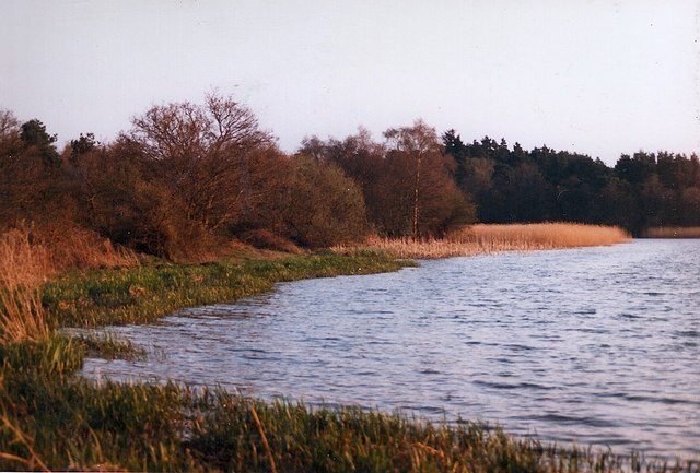 Nature at its finest at Frensham Great Pond