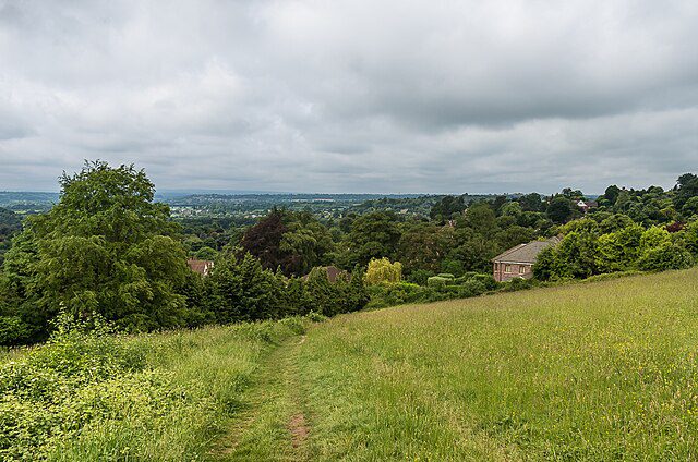 The beautiful Pewley Down in Surrey