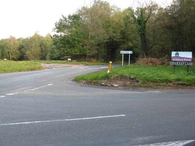 The magnificent Ashdown Forest