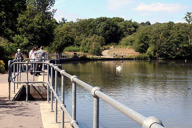 Idyllic Earlswood Lakes in Surrey