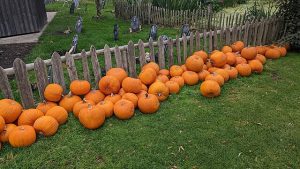 Pumpkins are a feature of the best Halloween days out in Surrey