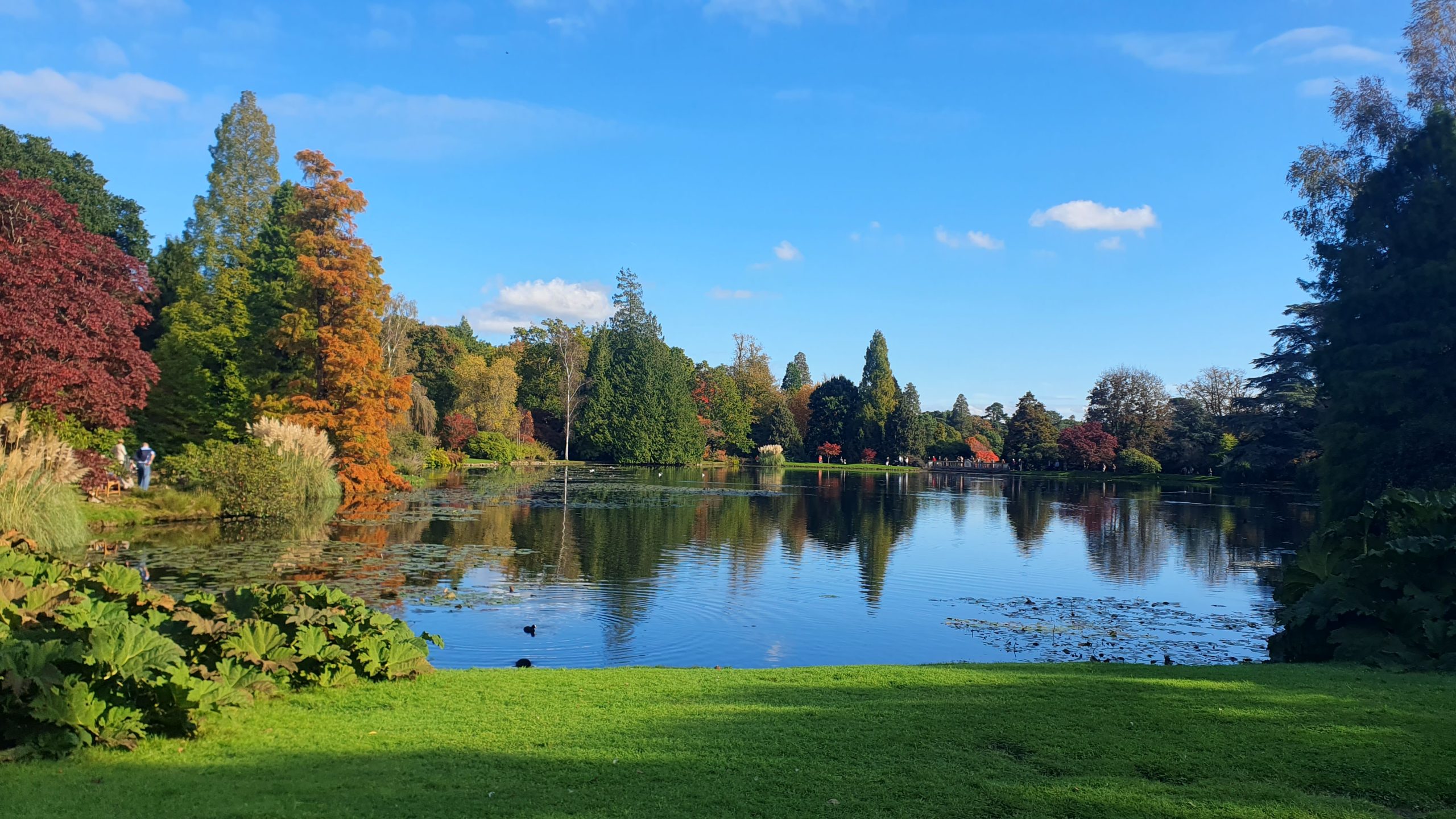 Glorious Sheffield Park in Sussex