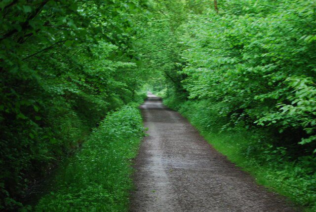 Scenic Worth Way in West Sussex