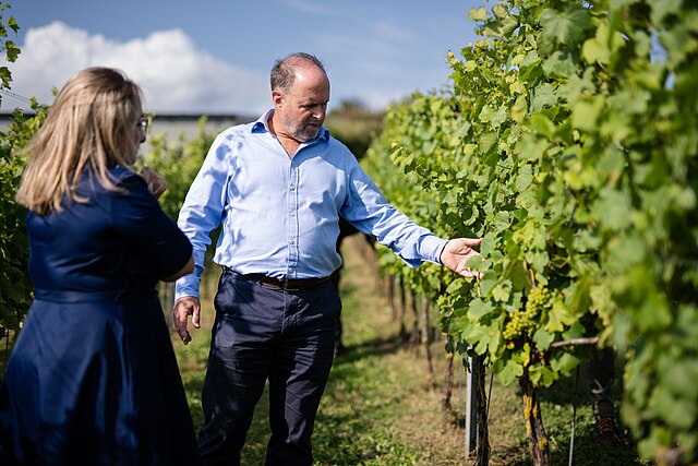 Finding out more about wine at Rathfinny