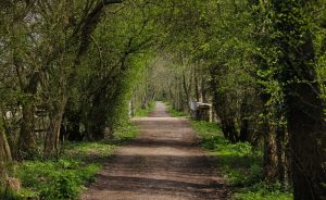 disused railway 3492779 1280