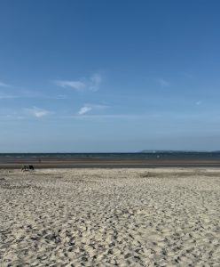 IMG 9236