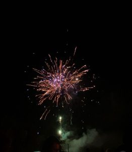 IMG 3060